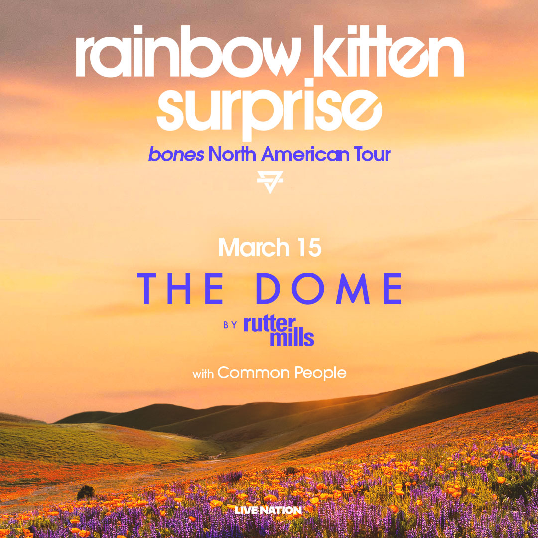 Rainbow Kitten Surprise